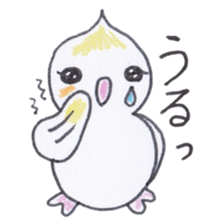 Cute chatting Cockatiel-chan sticker #3753427