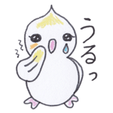 Cute chatting Cockatiel-chan sticker #3753427