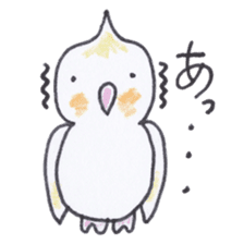 Cute chatting Cockatiel-chan sticker #3753430