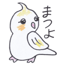 Cute chatting Cockatiel-chan sticker #3753436