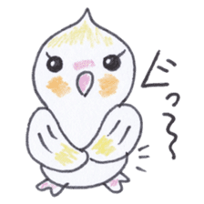 Cute chatting Cockatiel-chan sticker #3753437