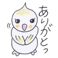 Cute chatting Cockatiel-chan sticker #3753440