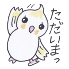 Cute chatting Cockatiel-chan sticker #3753441