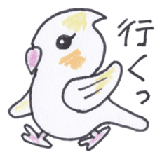 Cute chatting Cockatiel-chan sticker #3753443