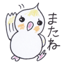 Cute chatting Cockatiel-chan sticker #3753446