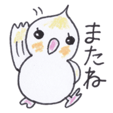 Cute chatting Cockatiel-chan sticker #3753446