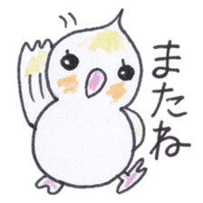 Cute chatting Cockatiel-chan sticker #3753446