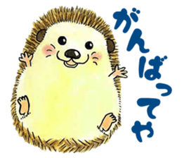 The hedgehog and the hamster sticker #3755184