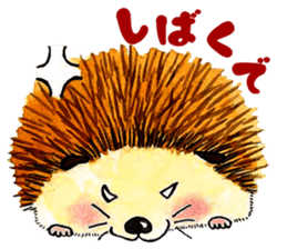 The hedgehog and the hamster sticker #3755197