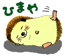 The hedgehog and the hamster sticker #3755199