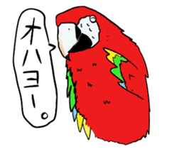 Mr.Parrot. sticker #3759887