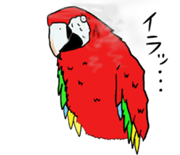 Mr.Parrot. sticker #3759899