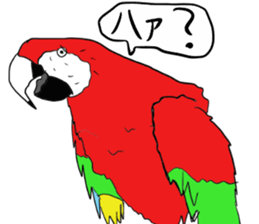 Mr.Parrot. sticker #3759914