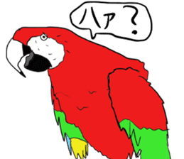 Mr.Parrot. sticker #3759914