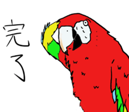 Mr.Parrot. sticker #3759921