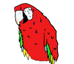 Mr.Parrot. sticker #3759922