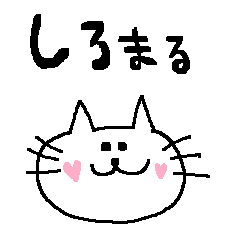 white and round cat