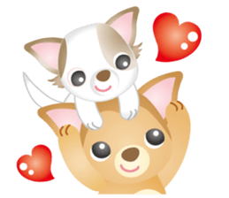 Friendly 2 Chihuahua Use everyday!Eng sticker #3762023