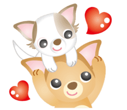 Friendly 2 Chihuahua Use everyday!Eng sticker #3762023