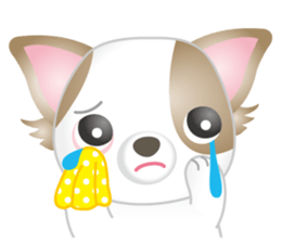 Friendly 2 Chihuahua Use everyday!Eng sticker #3762029