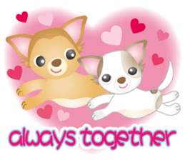 Friendly 2 Chihuahua Use everyday!Eng sticker #3762040