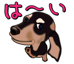 Dachs3 sticker #3762408