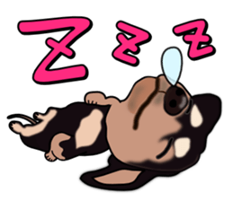 Dachs3 sticker #3762412