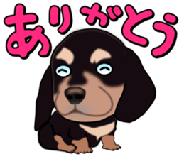 Dachs3 sticker #3762414