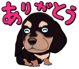 Dachs3 sticker #3762414