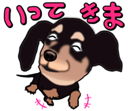 Dachs3 sticker #3762415