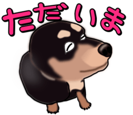 Dachs3 sticker #3762417