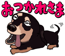 Dachs3 sticker #3762419