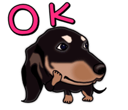 Dachs3 sticker #3762420