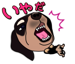 Dachs3 sticker #3762421