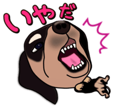 Dachs3 sticker #3762421