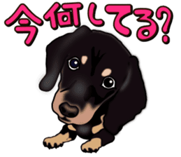 Dachs3 sticker #3762425