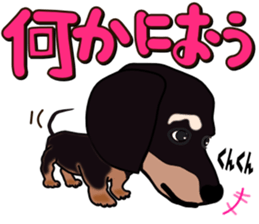 Dachs3 sticker #3762426