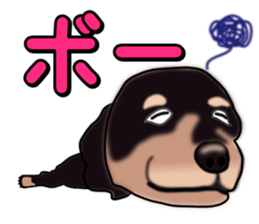 Dachs3 sticker #3762429