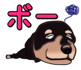 Dachs3 sticker #3762429