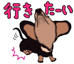 Dachs3 sticker #3762431