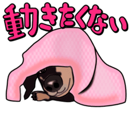 Dachs3 sticker #3762432