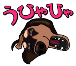 Dachs3 sticker #3762433