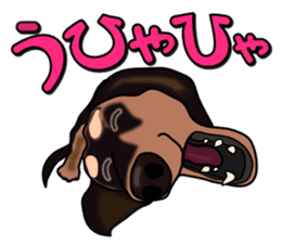 Dachs3 sticker #3762433