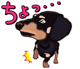 Dachs3 sticker #3762434