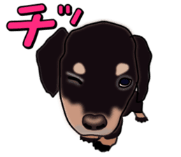 Dachs3 sticker #3762436