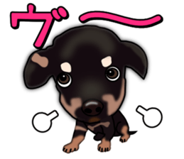 Dachs3 sticker #3762437