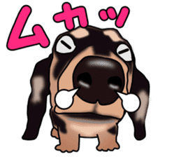 Dachs3 sticker #3762438