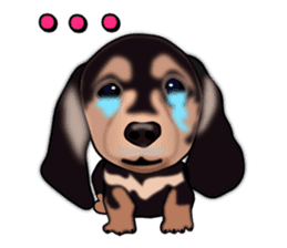 Dachs3 sticker #3762439