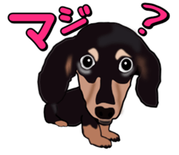 Dachs3 sticker #3762441