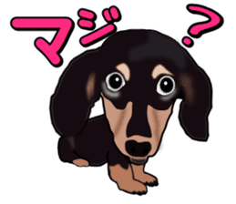 Dachs3 sticker #3762441